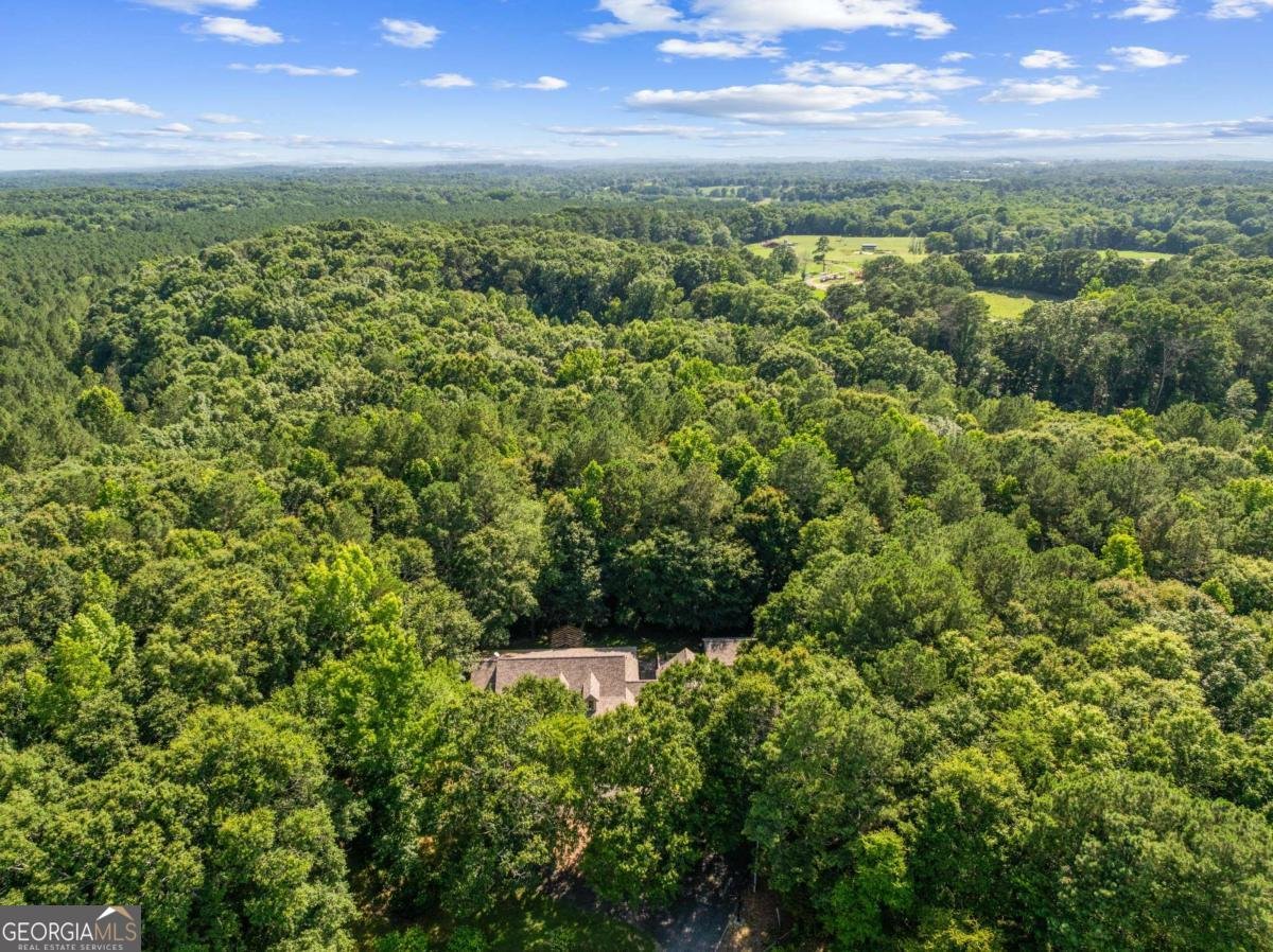 119 Knight Bottom Road Fairmount - Photo 50