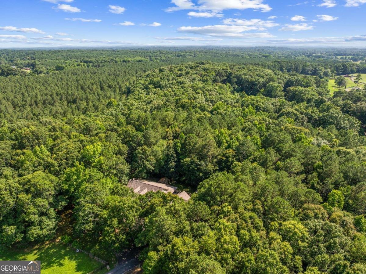 119 Knight Bottom Road Fairmount - Photo 54