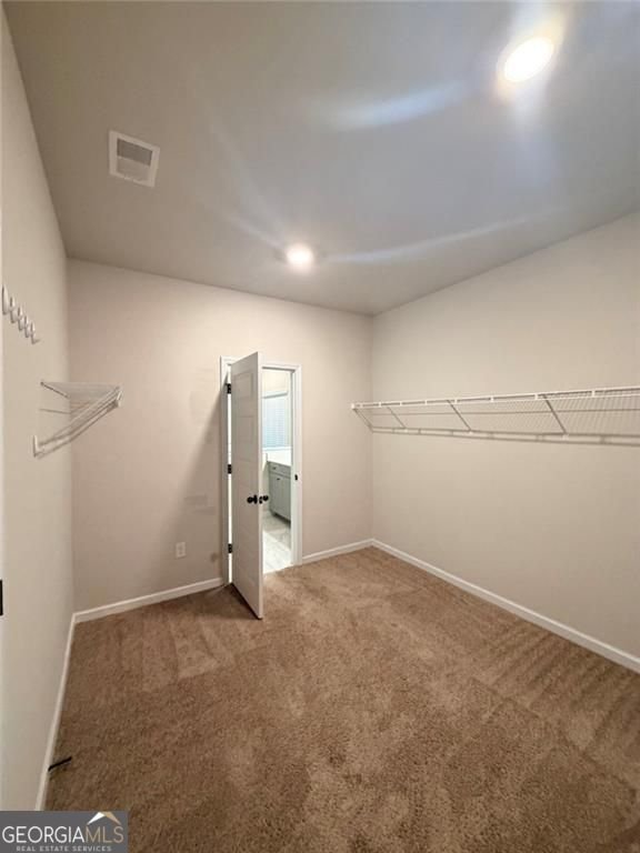 505 Pharaohs Bend Locust Grove - Photo 47