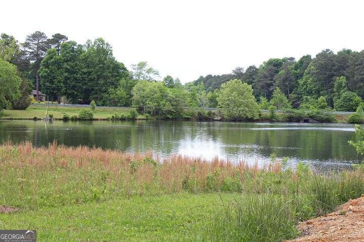 48 Honeysuckle Drive LaFayette - Photo 11