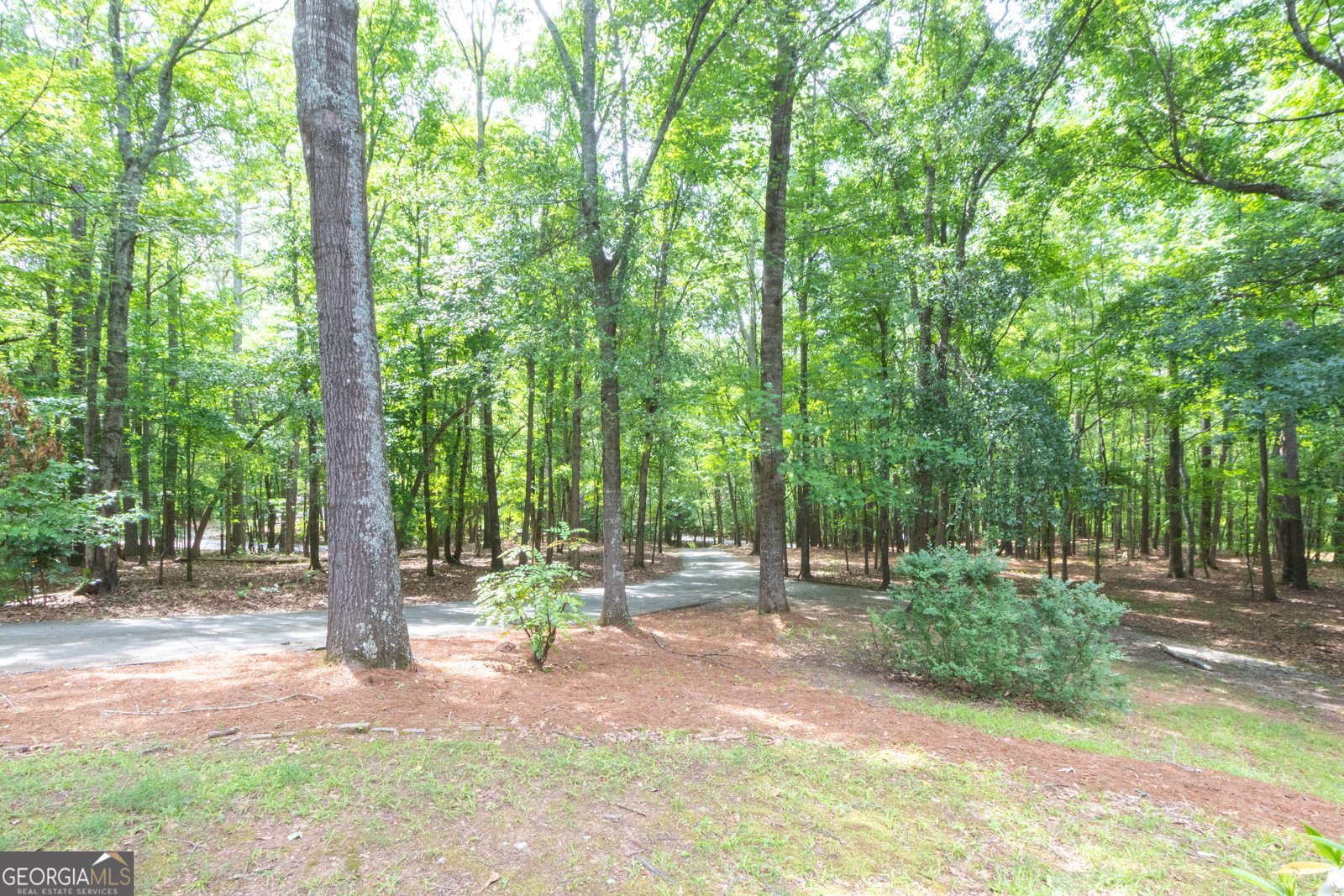 2604 Old Pond Lane Stockbridge - Photo 73