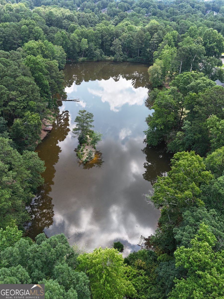 2160 Lakeway Drive Dacula - Photo 54