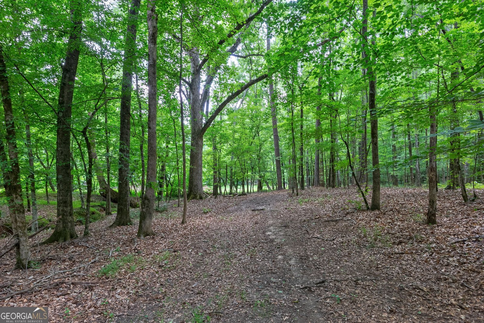 1800 Elder Mill Road Watkinsville - Photo 52