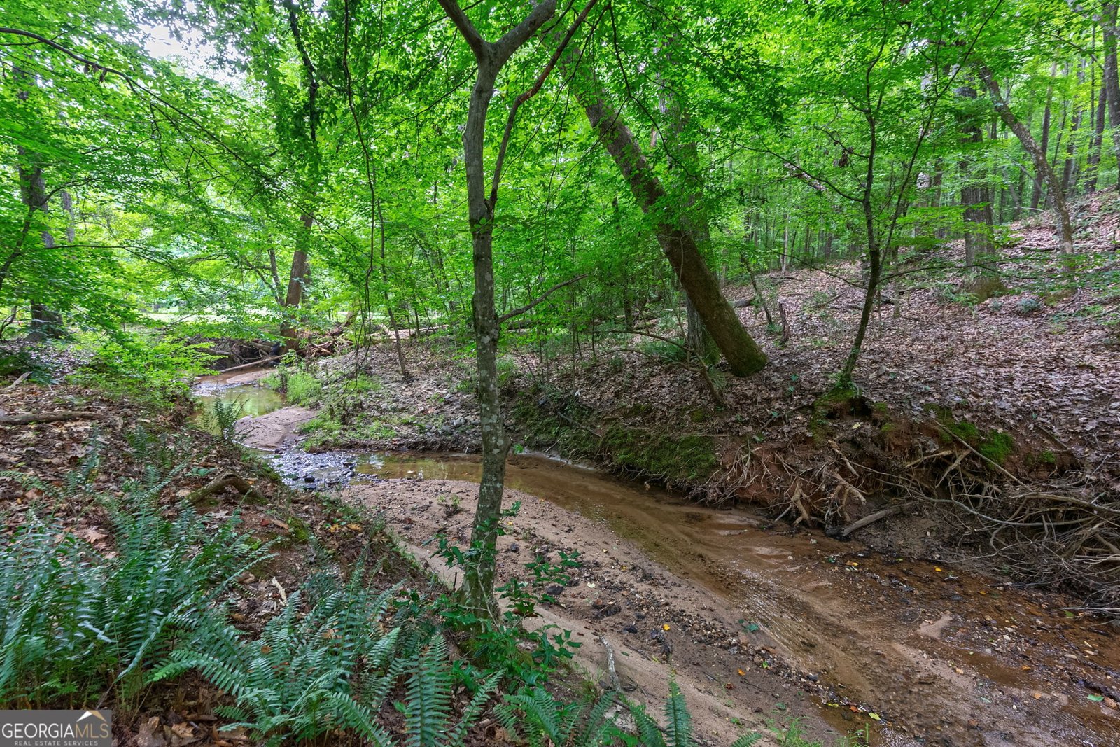 1800 Elder Mill Road Watkinsville - Photo 53
