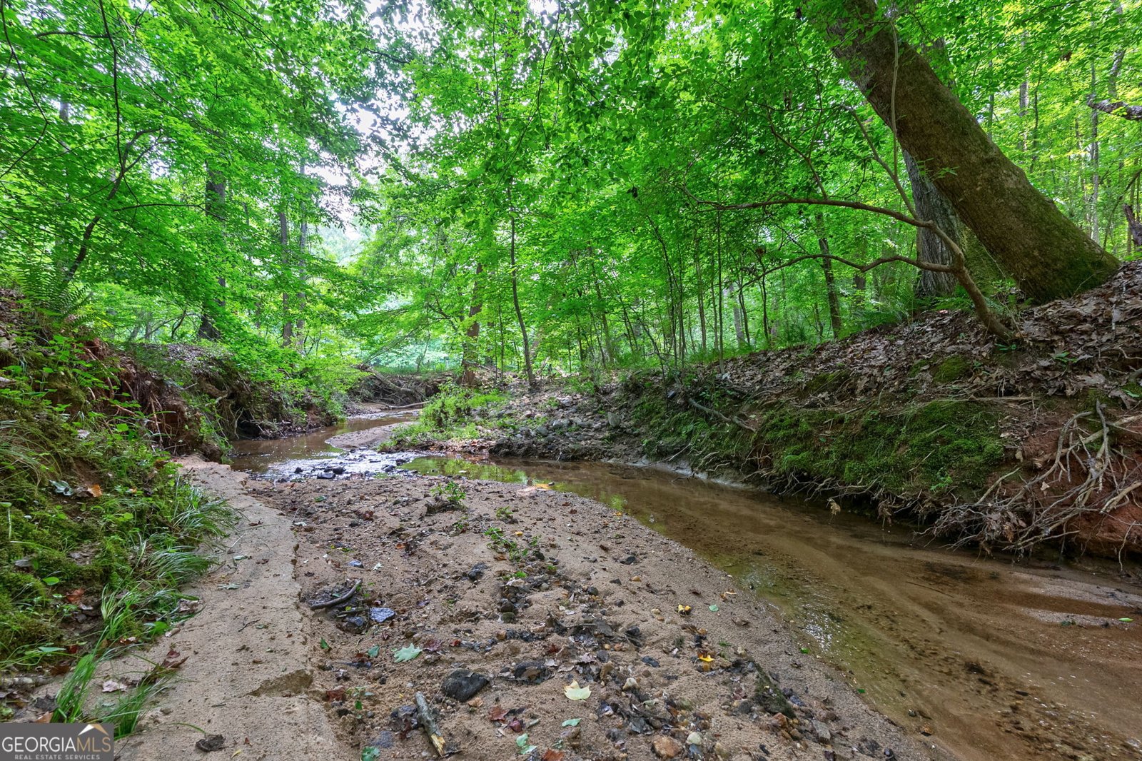 1800 Elder Mill Road Watkinsville - Photo 54