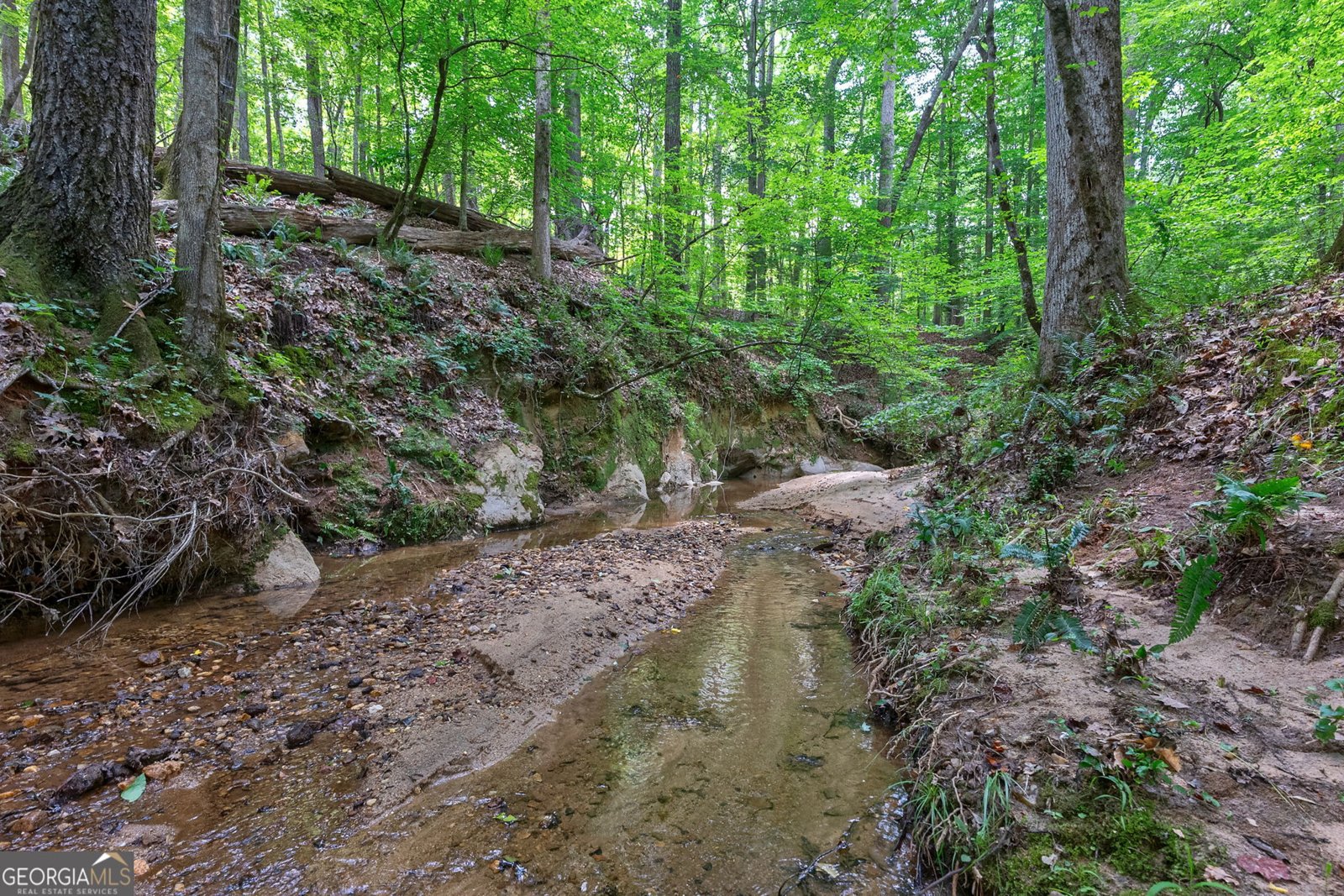 1800 Elder Mill Road Watkinsville - Photo 55