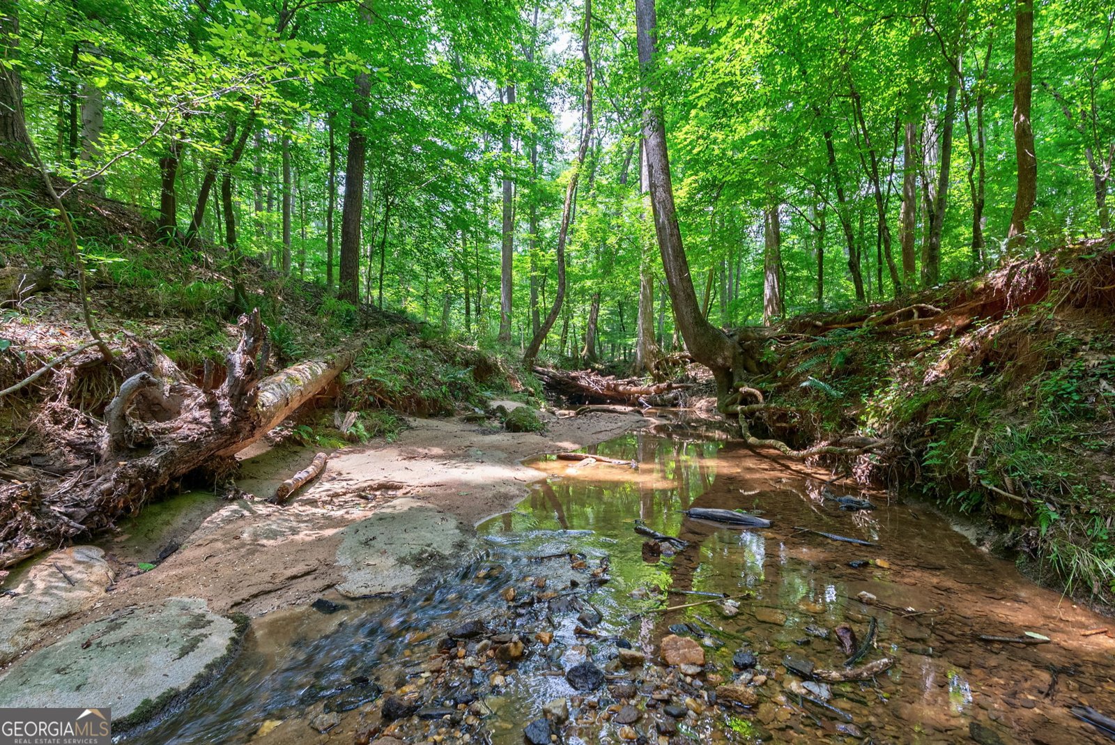 1800 Elder Mill Road Watkinsville - Photo 56