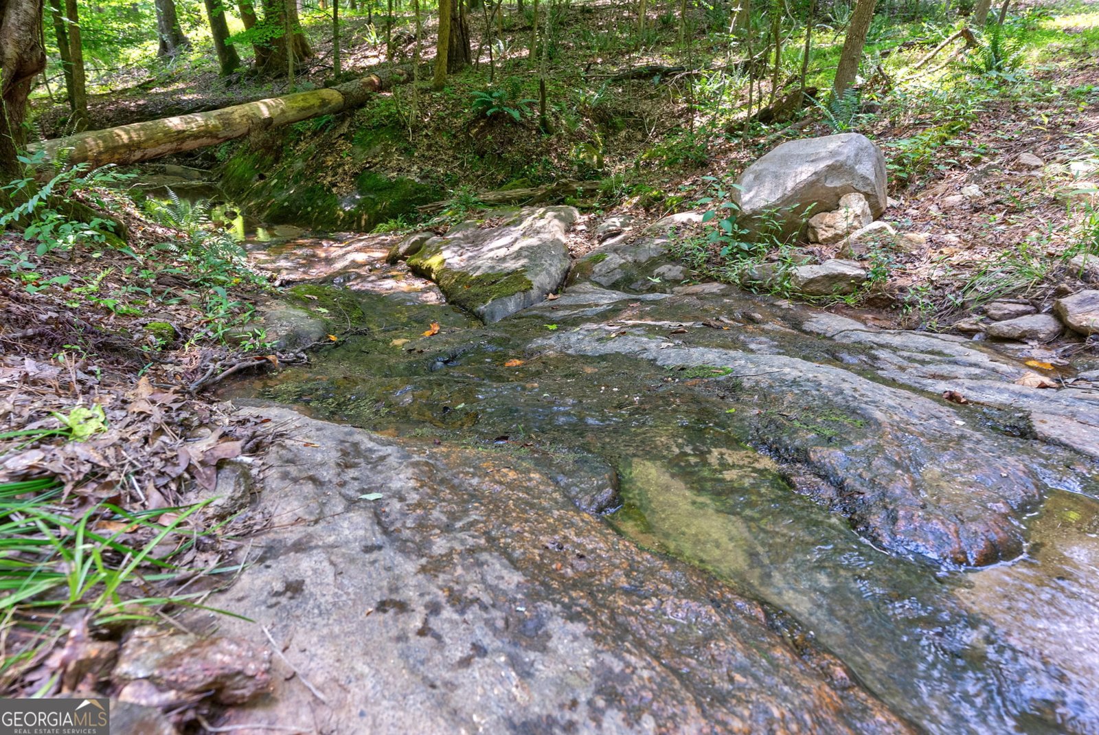 1800 Elder Mill Road Watkinsville - Photo 59