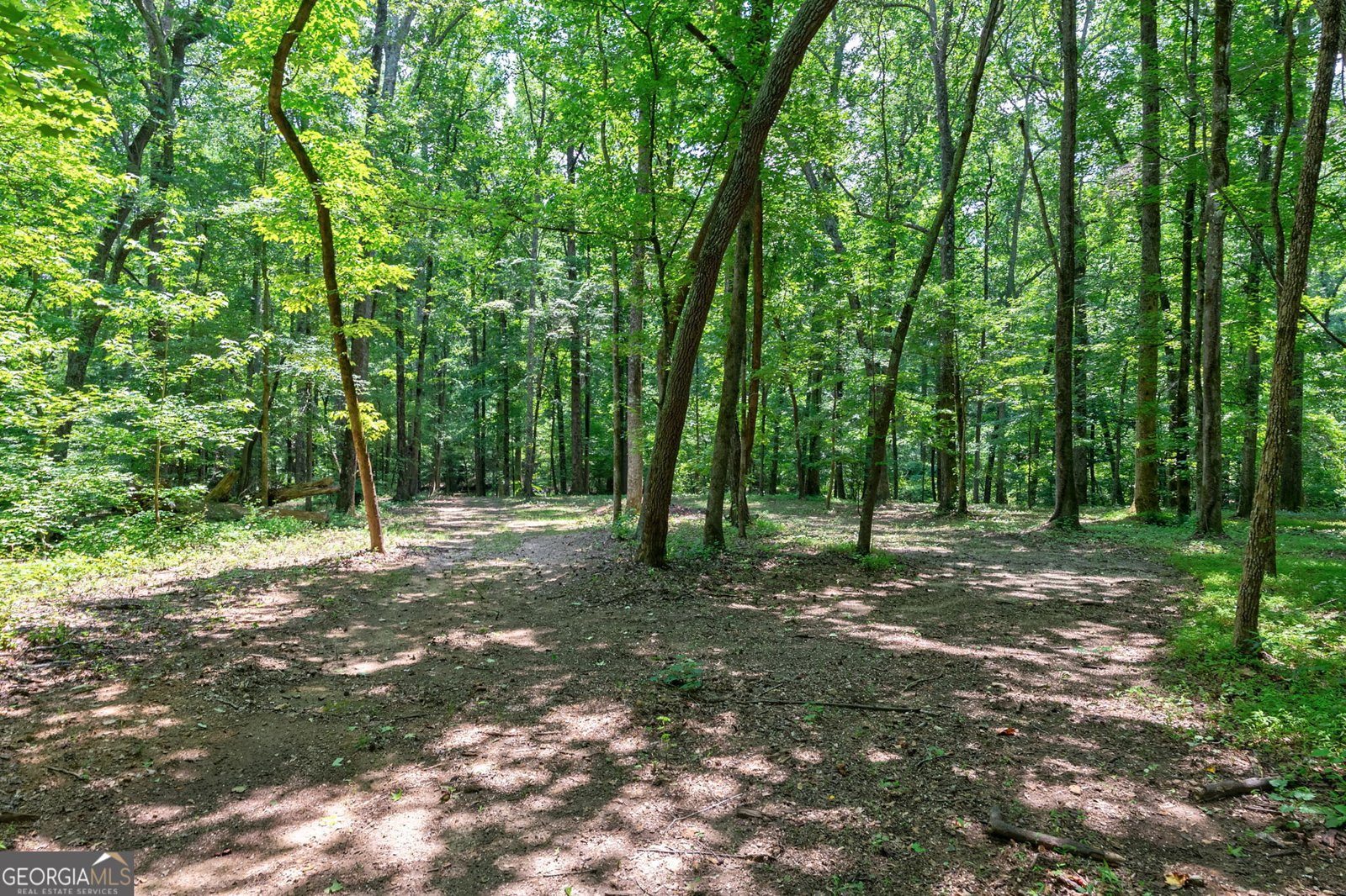 1800 Elder Mill Road Watkinsville - Photo 60
