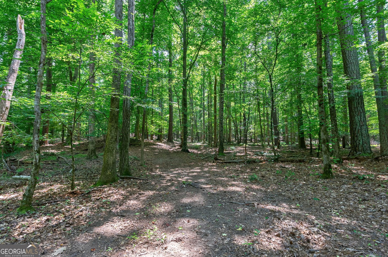 1800 Elder Mill Road Watkinsville - Photo 65