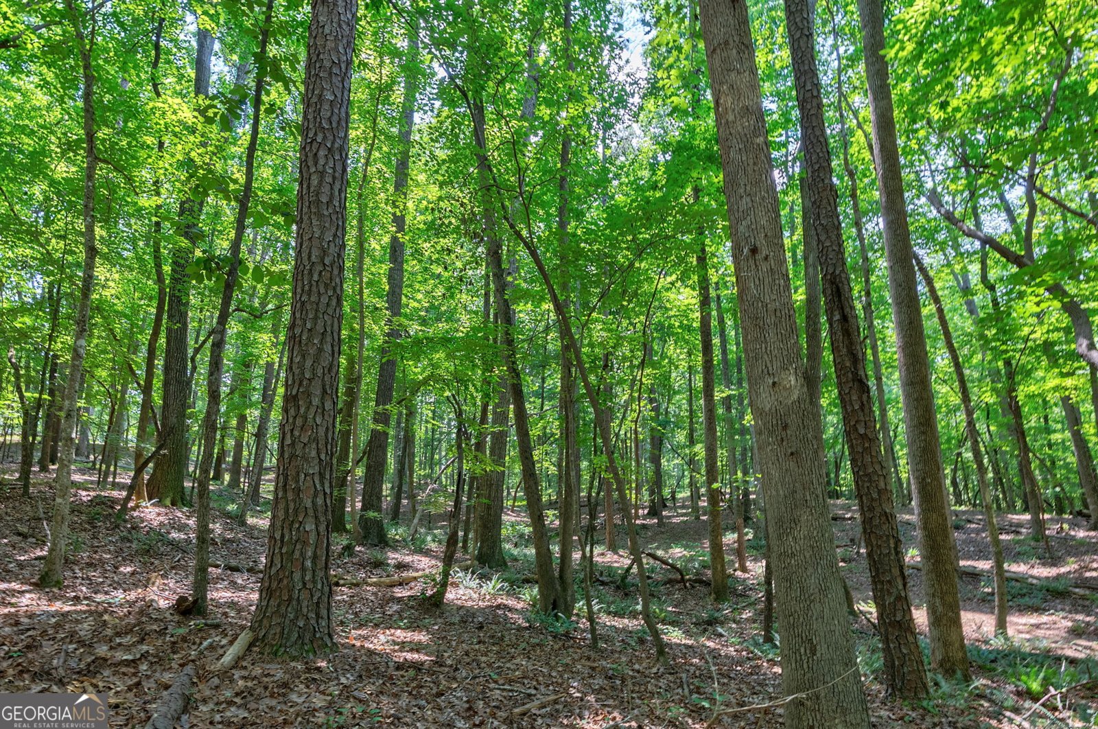 1800 Elder Mill Road Watkinsville - Photo 66