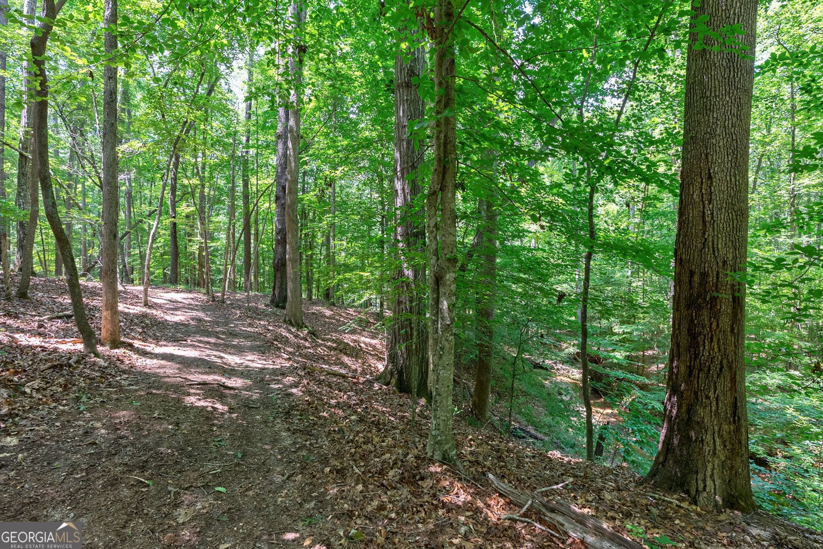 1800 Elder Mill Road Watkinsville - Photo 67