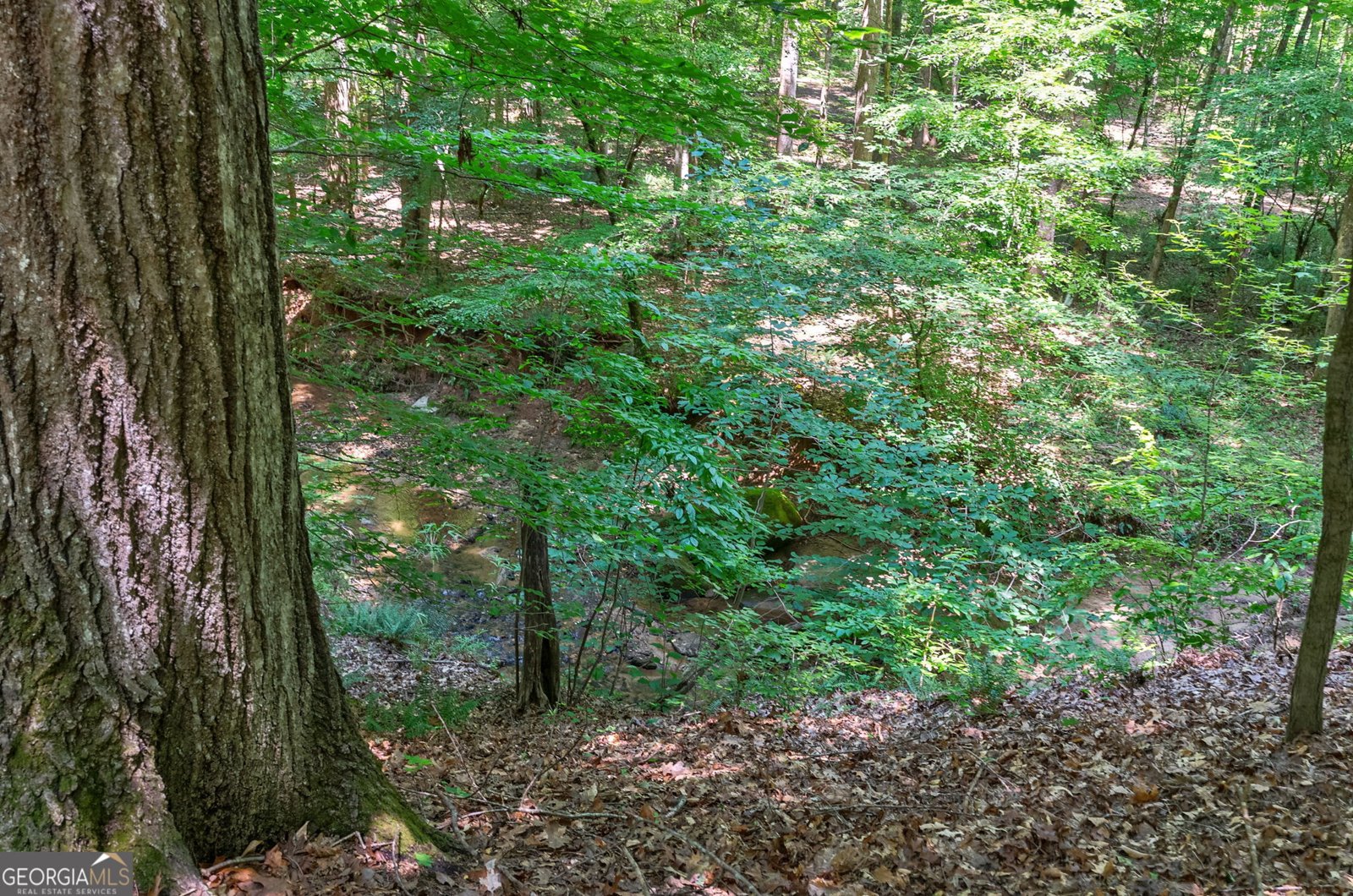 1800 Elder Mill Road Watkinsville - Photo 68