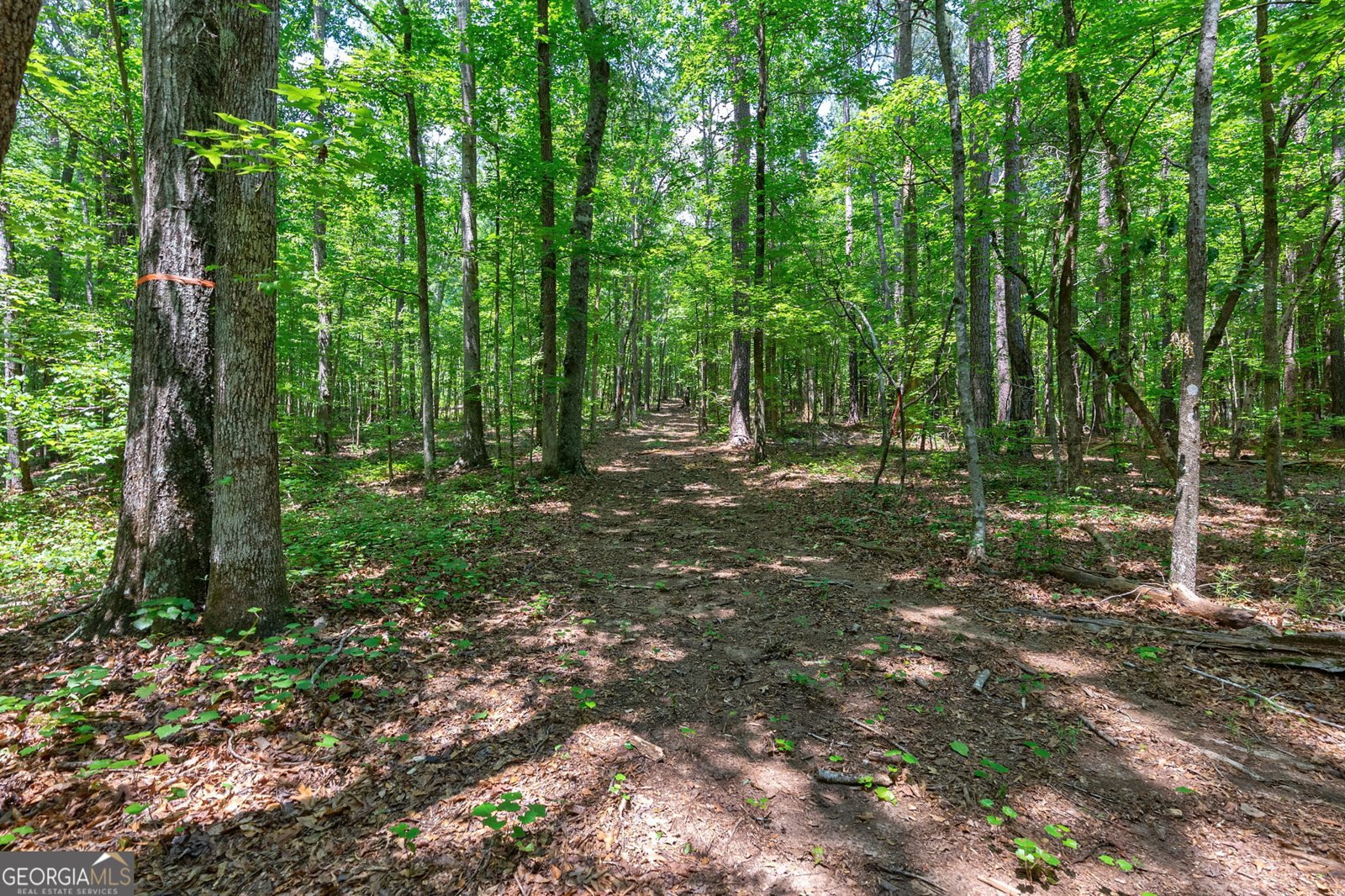 1800 Elder Mill Road Watkinsville - Photo 69