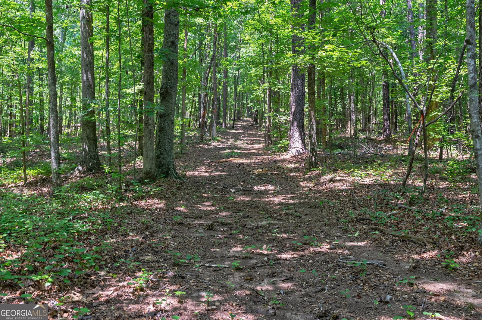1800 Elder Mill Road Watkinsville - Photo 70