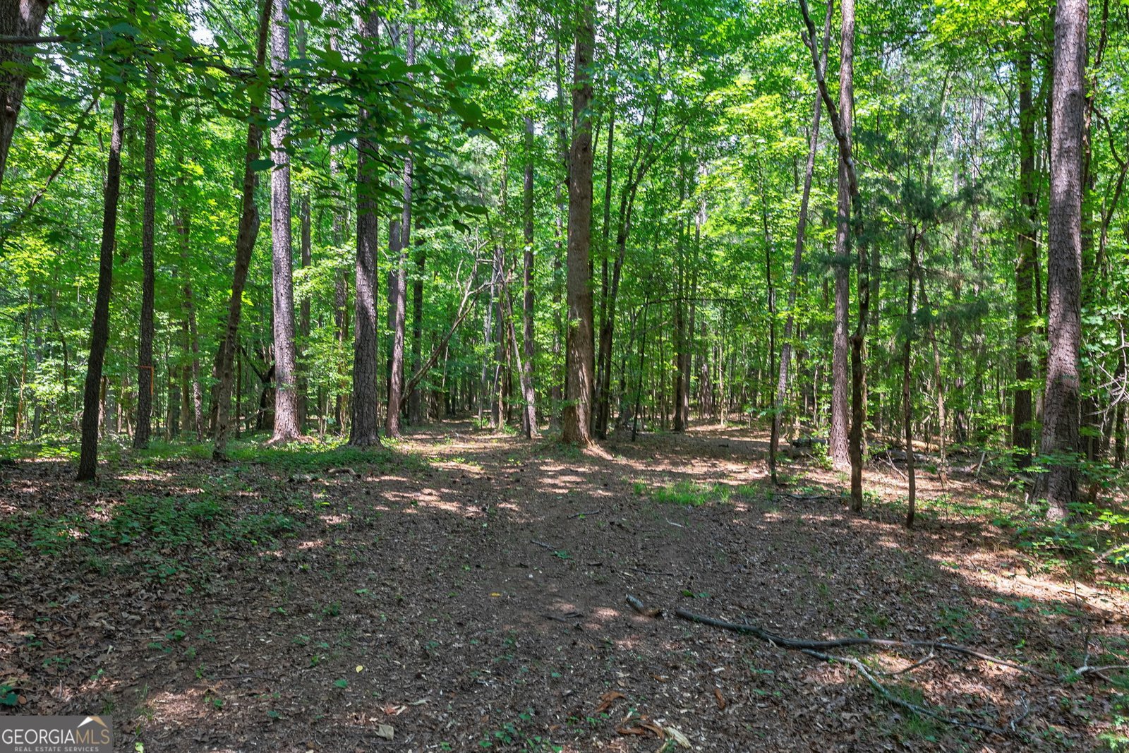 1800 Elder Mill Road Watkinsville - Photo 71