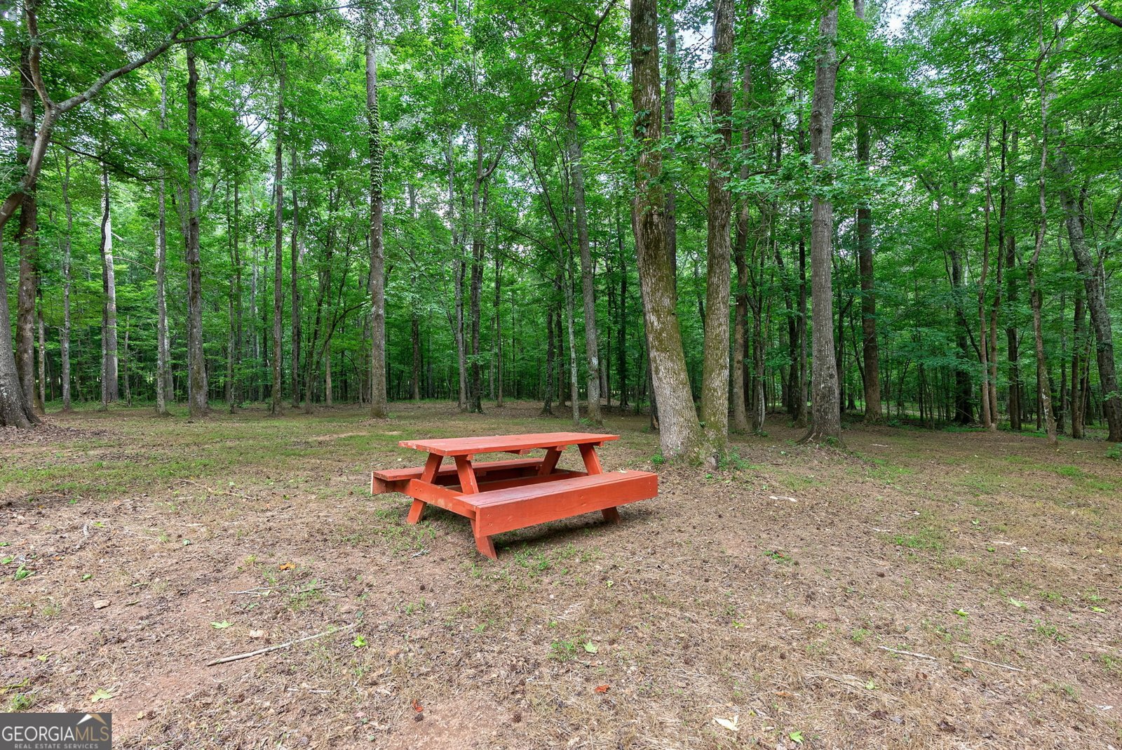 1800 Elder Mill Road Watkinsville - Photo 84