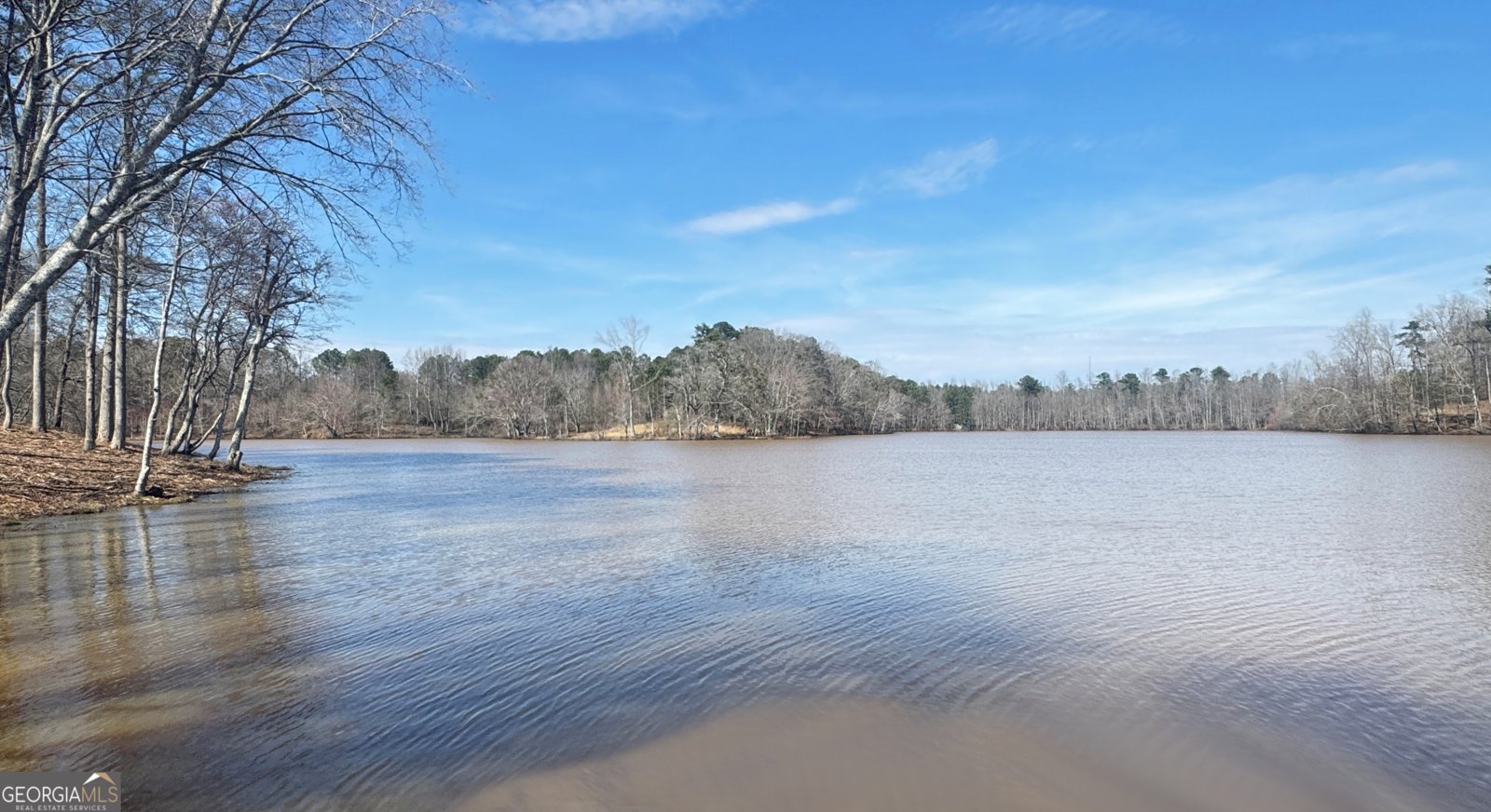 93 Club Cresswind Drive Newnan - Photo 84