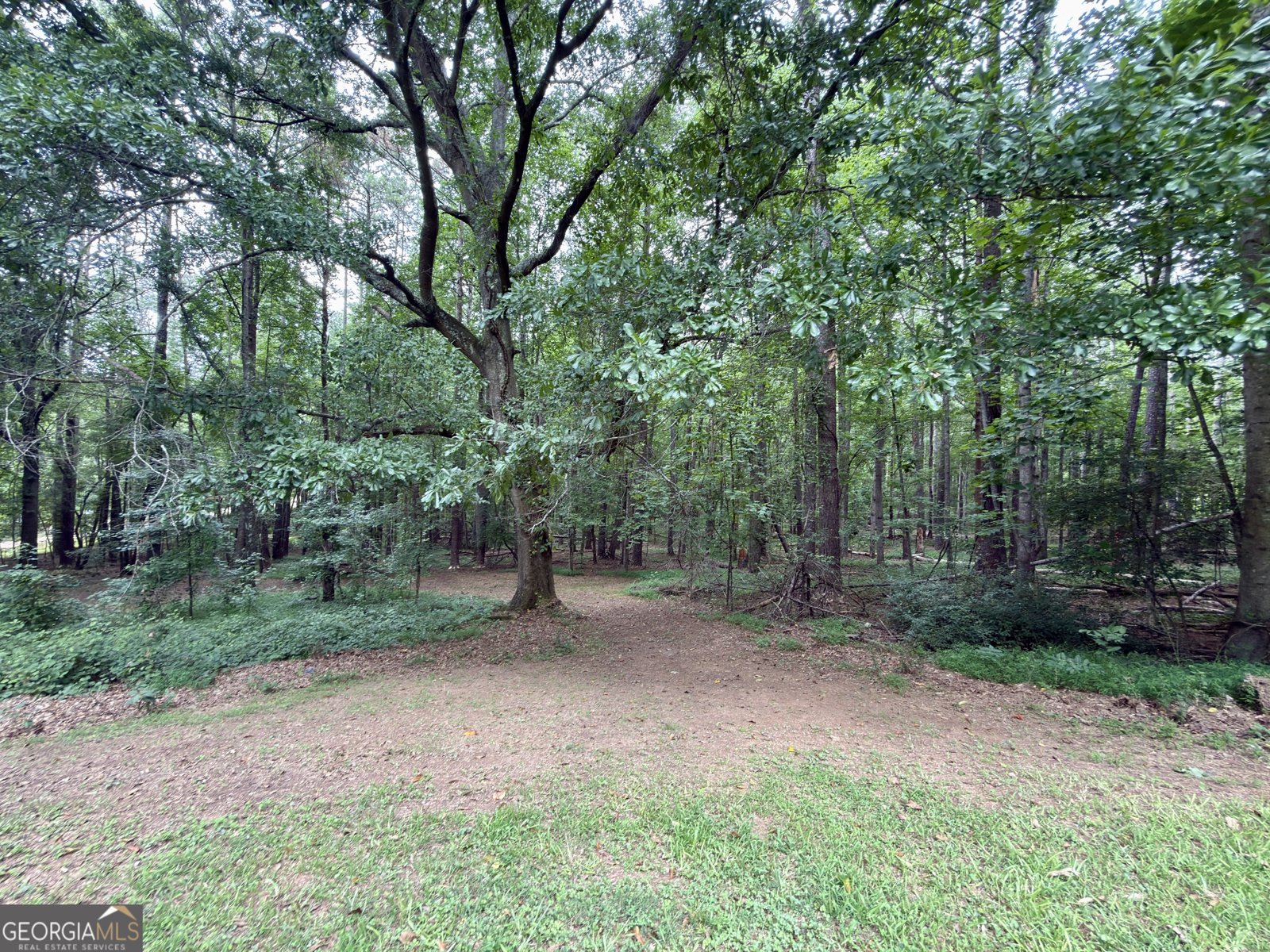 956 Friendship Church Road Douglasville - Photo 49