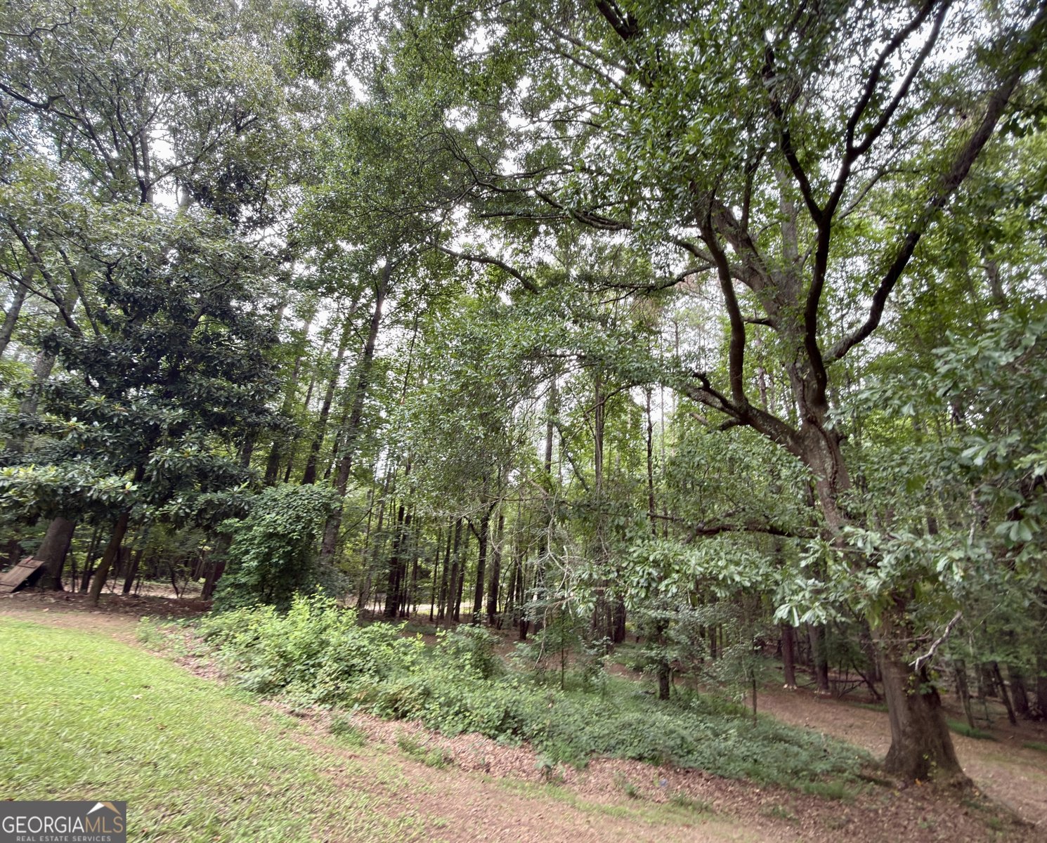 956 Friendship Church Road Douglasville - Photo 51