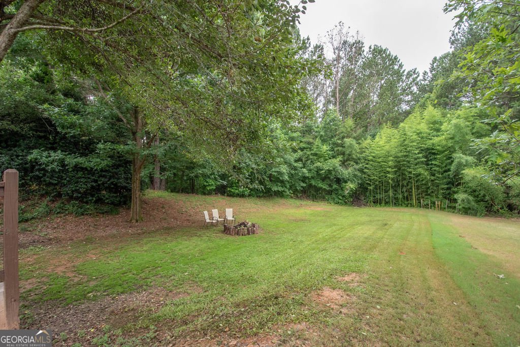 11 Neely Run Newnan - Photo 47