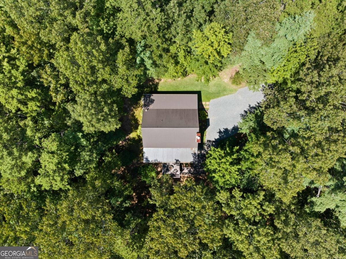 219 RIDGE TOP Lane Blue Ridge - Photo 30