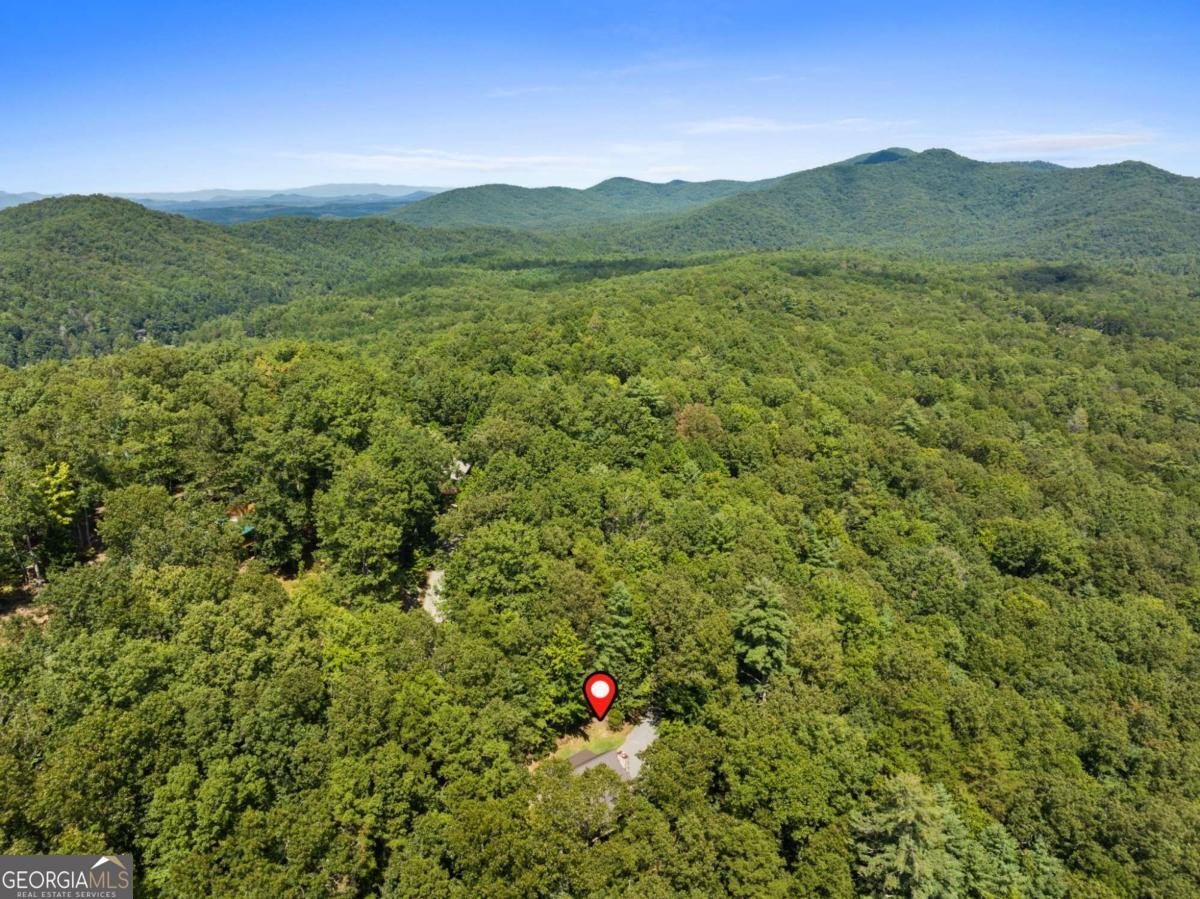 219 RIDGE TOP Lane Blue Ridge - Photo 31
