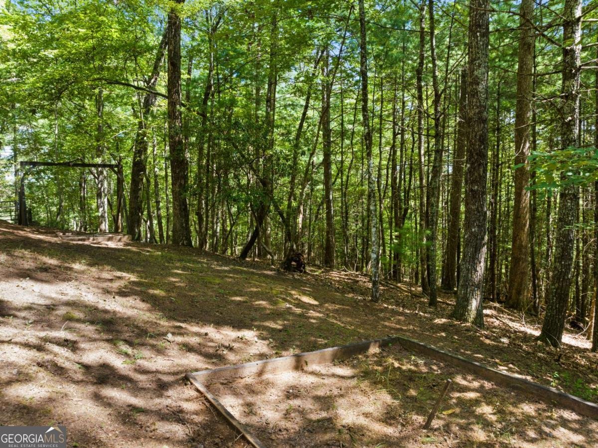 219 RIDGE TOP Lane Blue Ridge - Photo 34