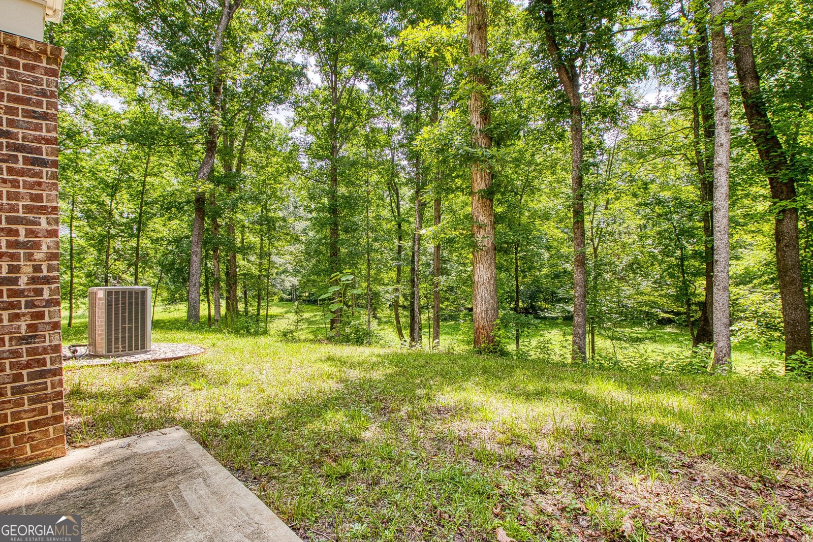 195 Buckeye Farms Drive Moreland - Photo 56