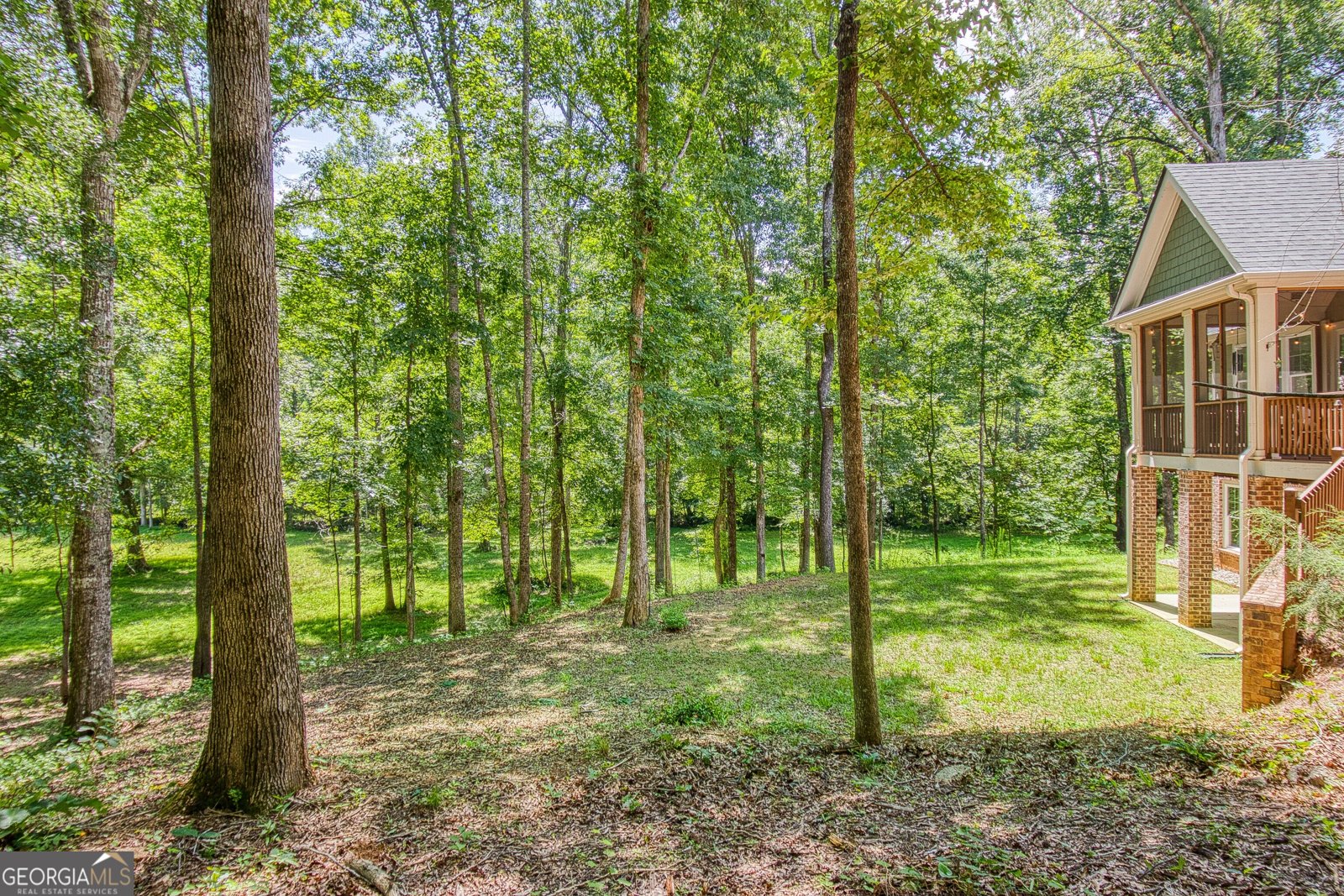 195 Buckeye Farms Drive Moreland - Photo 57