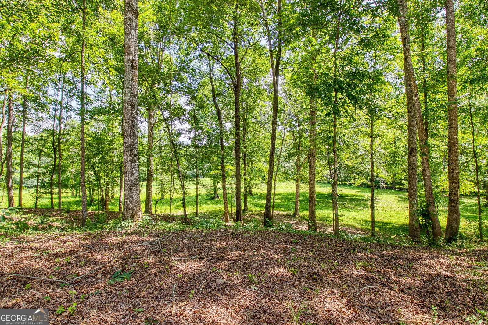 195 Buckeye Farms Drive Moreland - Photo 64