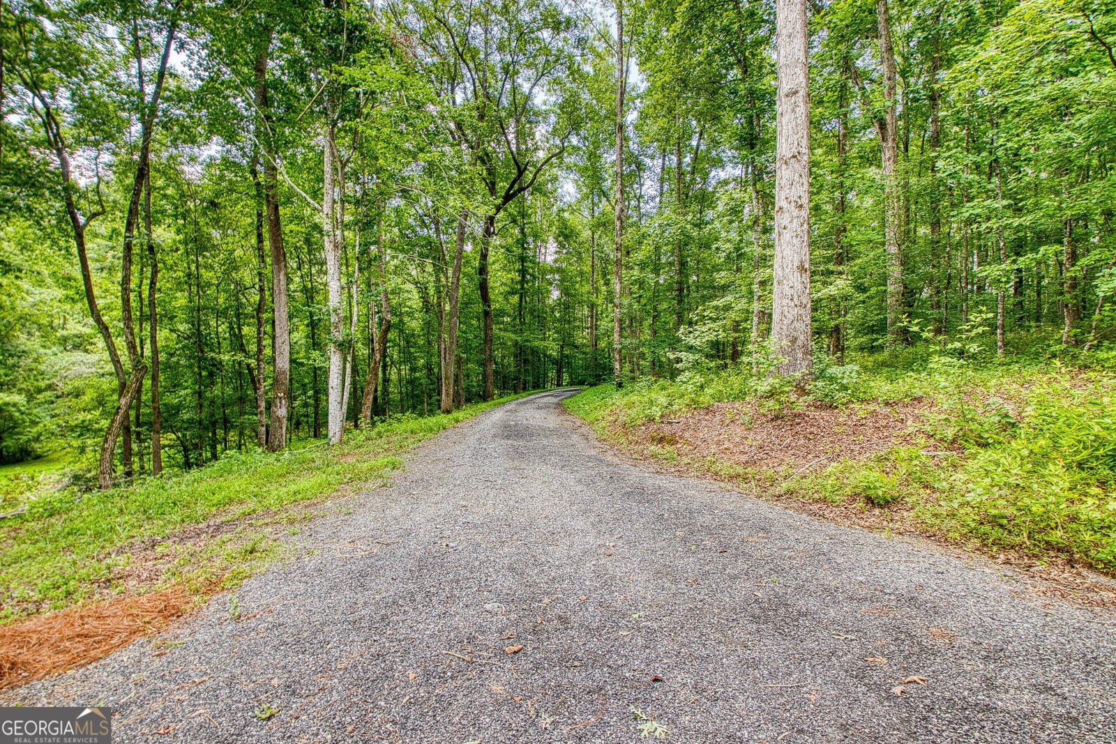 195 Buckeye Farms Drive Moreland - Photo 66