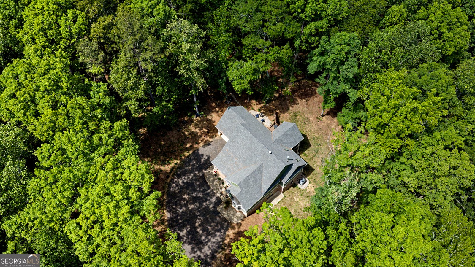 195 Buckeye Farms Drive Moreland - Photo 69