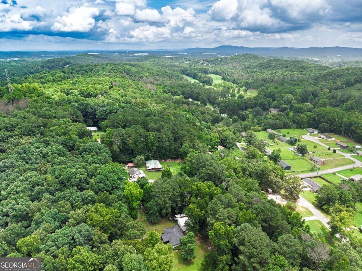 62 Valley View Drive Cartersville - Photo 41