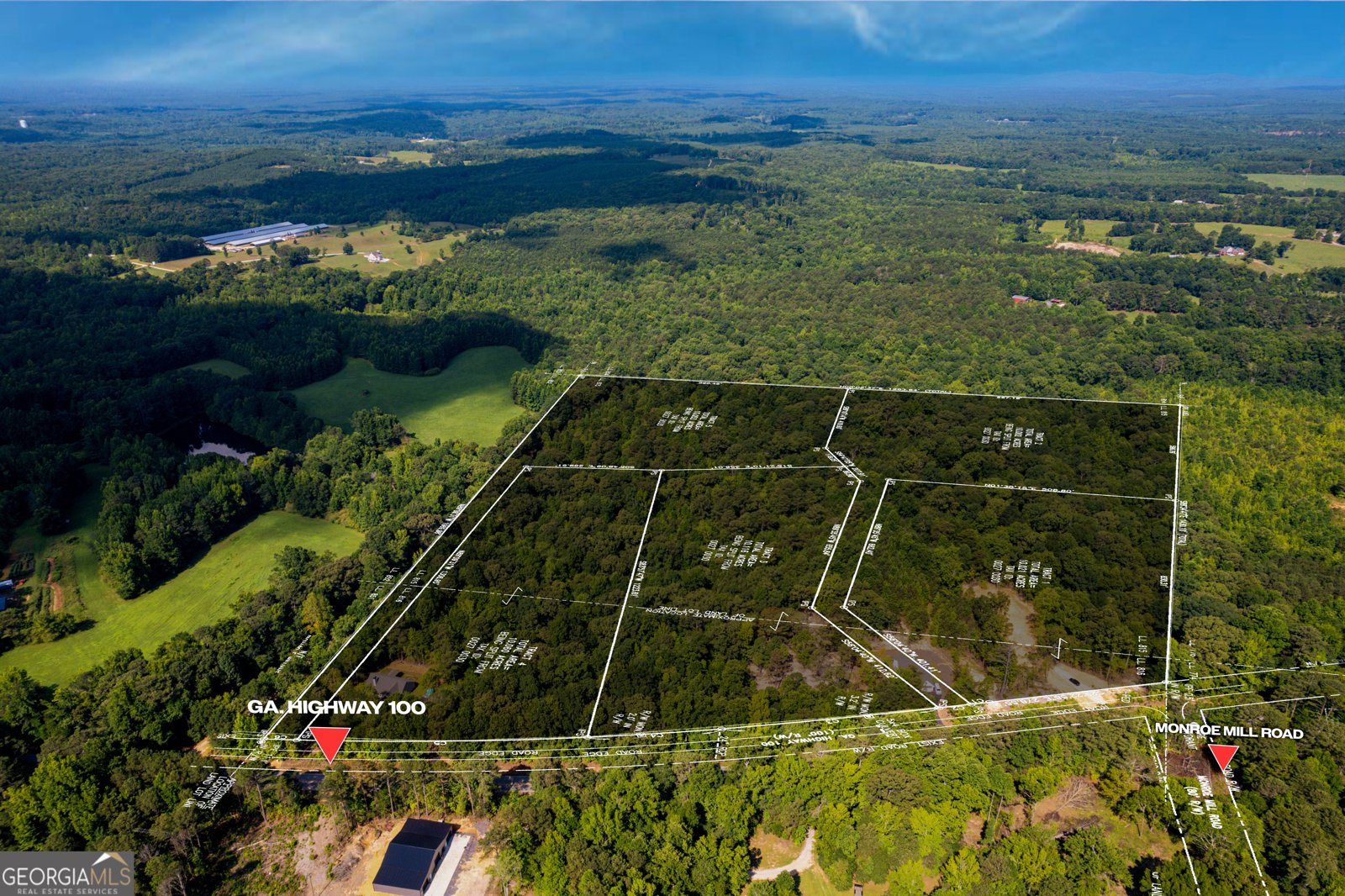 TRACT1 Georgia Highway 100 Buchanan - Photo 44