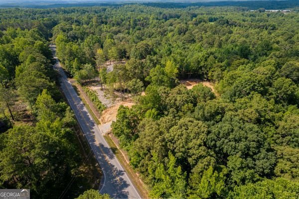 TRACT1 Georgia Highway 100 Buchanan - Photo 49
