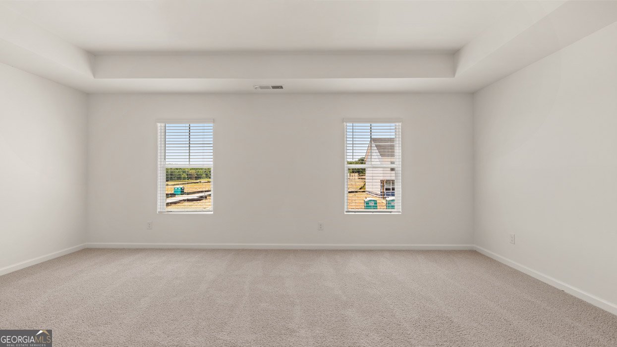 113 White Spruce Way Newnan - Photo 14