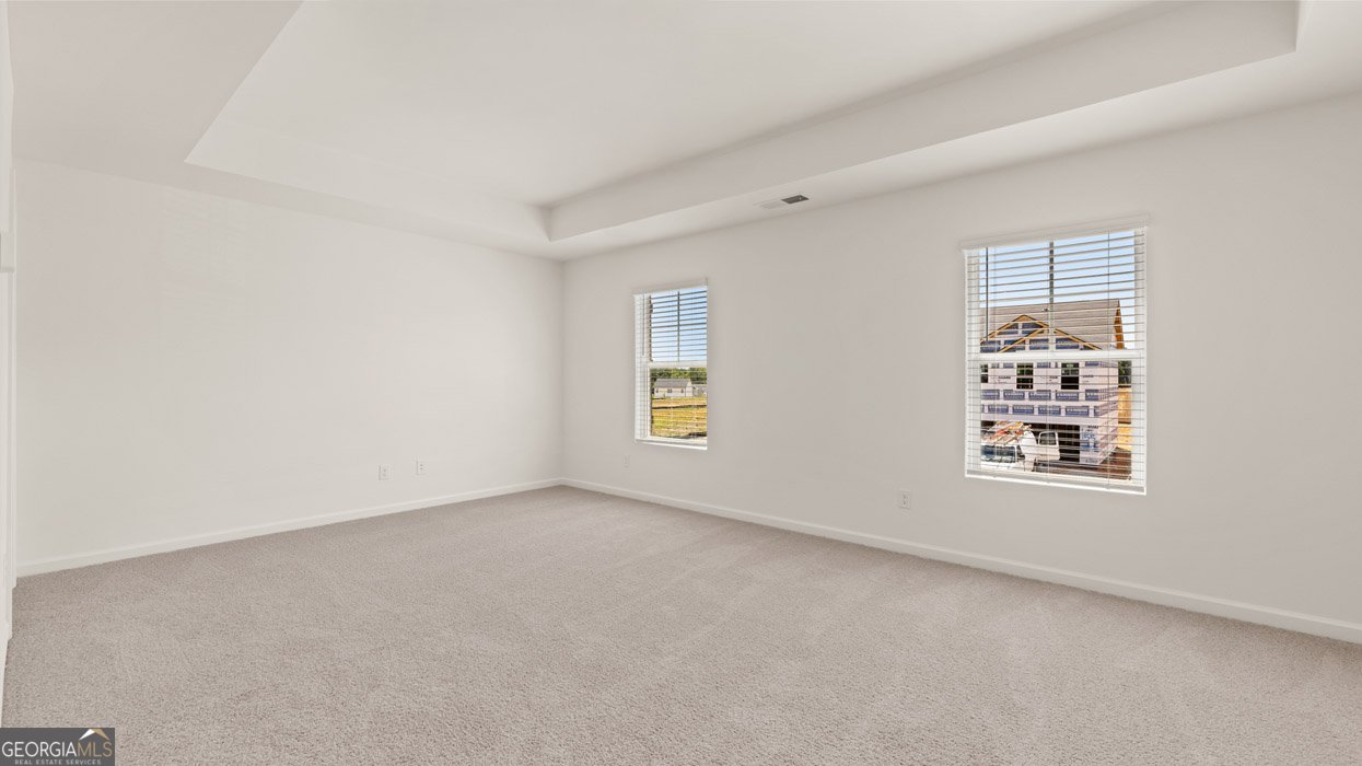 113 White Spruce Way Newnan - Photo 15
