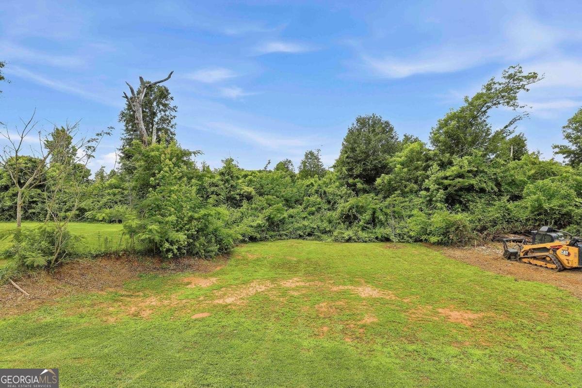 16 Watson Drive Newnan - Photo 38