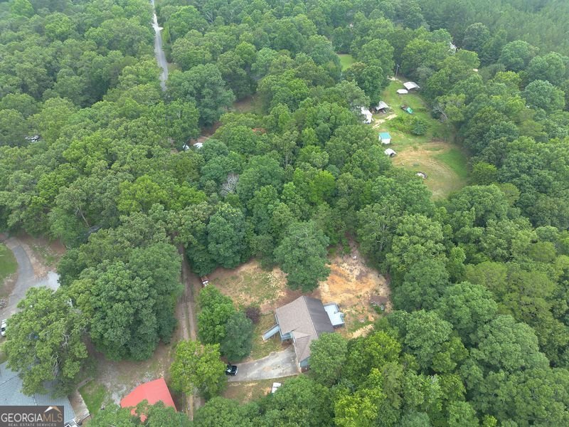 70 Crowe Springs SPUR Cartersville - Photo 46