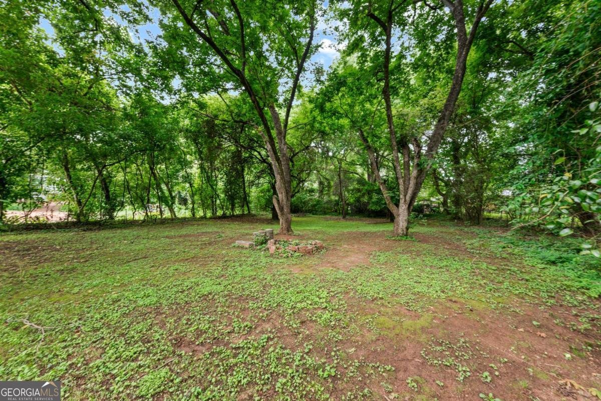 1455 Broad Street Athens - Photo 38