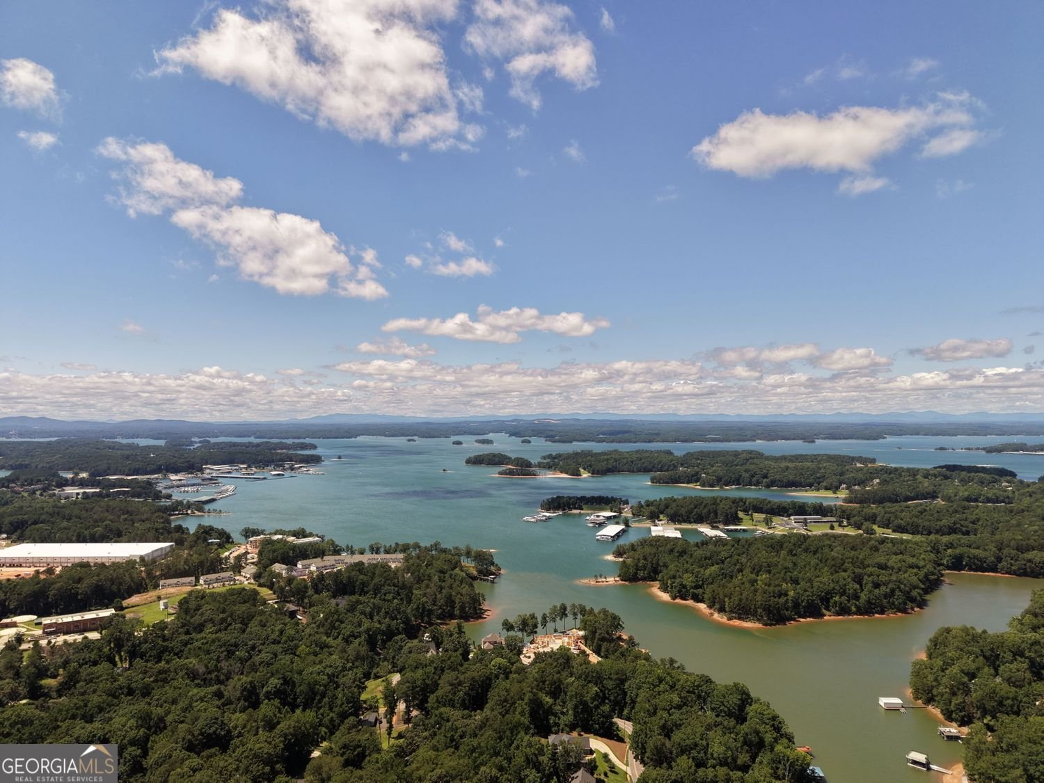 6181 Shoreland Circle Buford - Photo 49