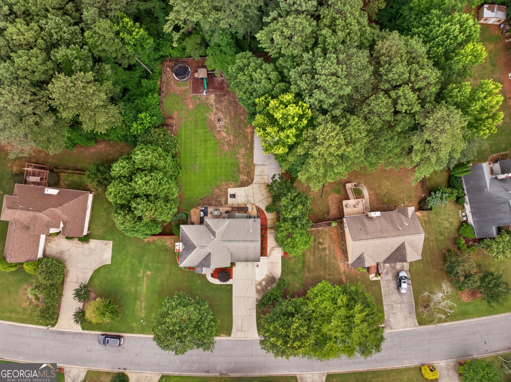 445 Flowering Trail Grayson - Photo 80