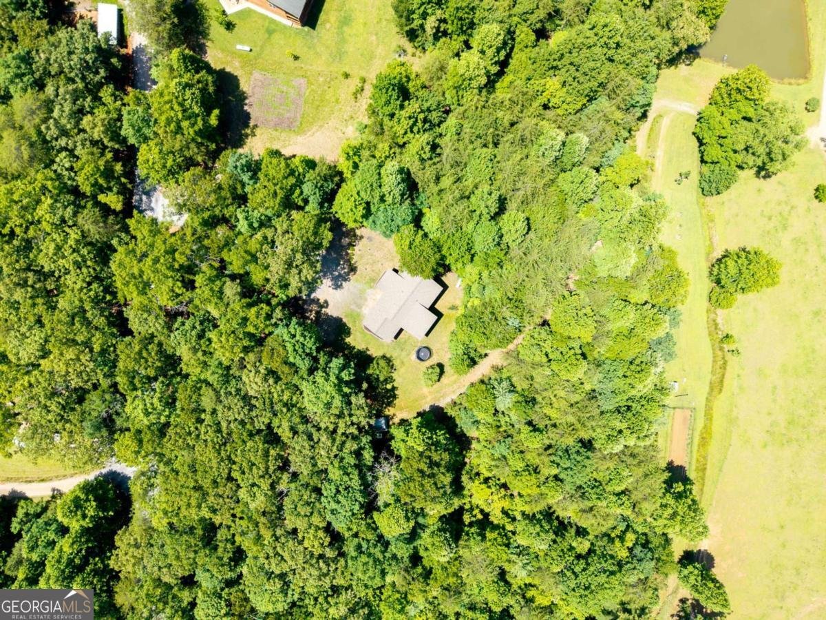 578 Dockery Creek Road Young Harris - Photo 30