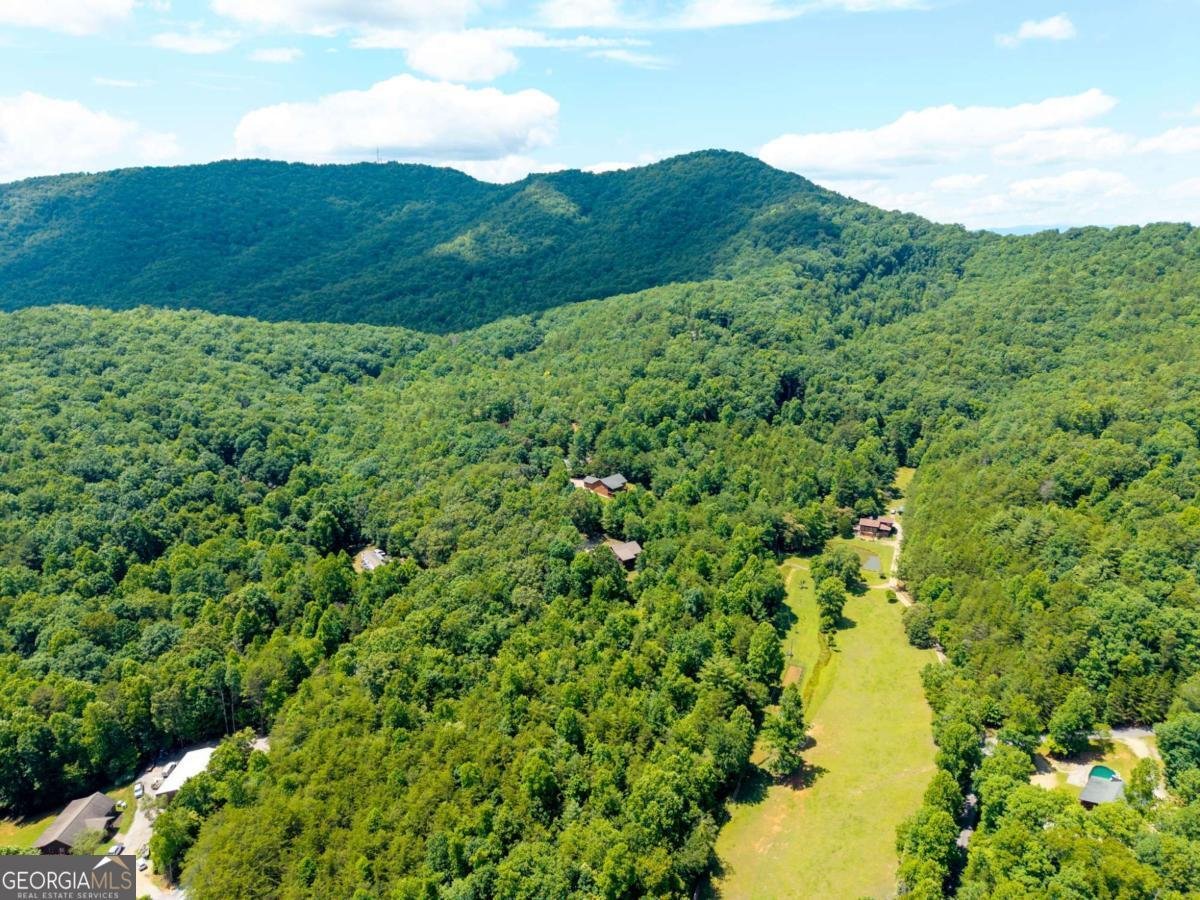 578 Dockery Creek Road Young Harris - Photo 31