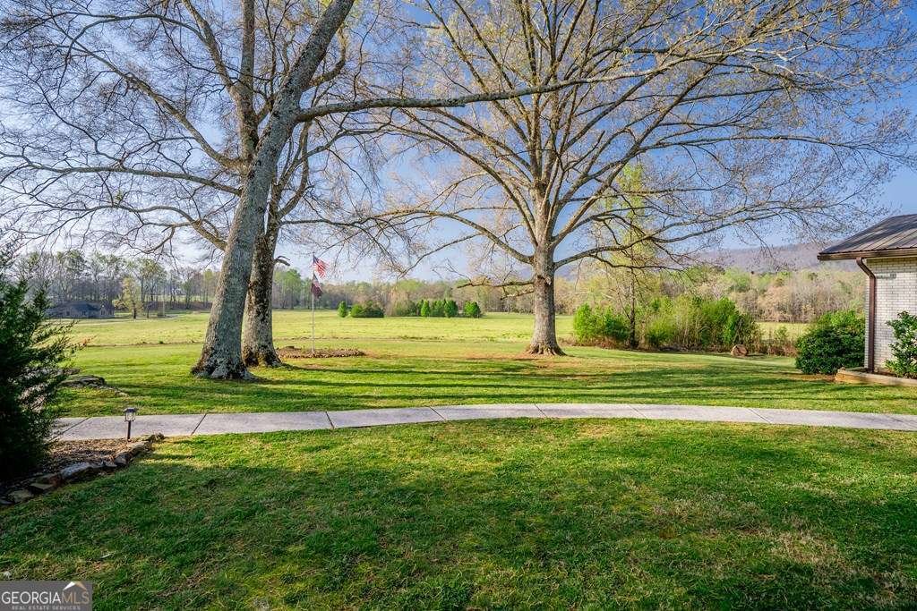 1254 Mountain Loop Road Sugar Valley - Photo 12