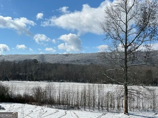 1254 Mountain Loop Road Sugar Valley - Photo 77