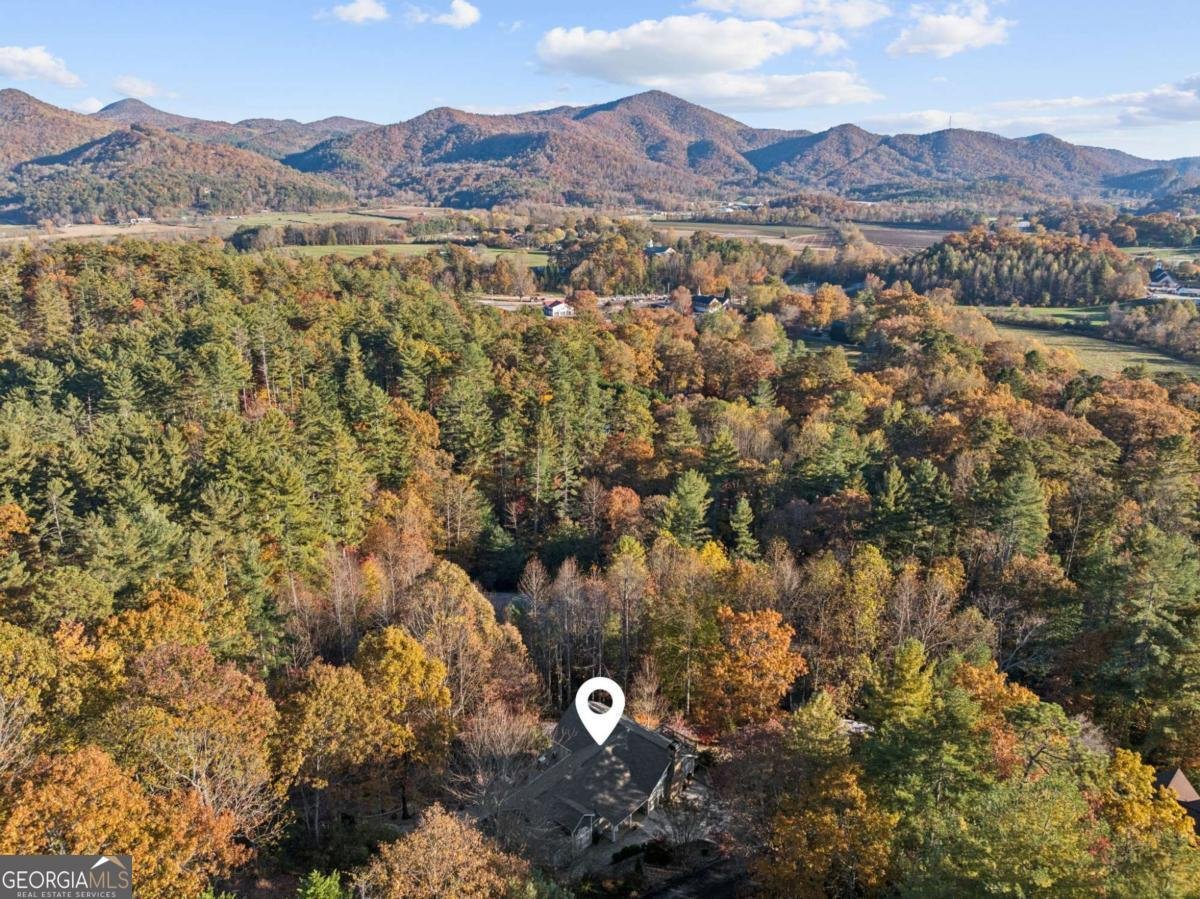 174 Bell Colony Road Dillard - Photo 47