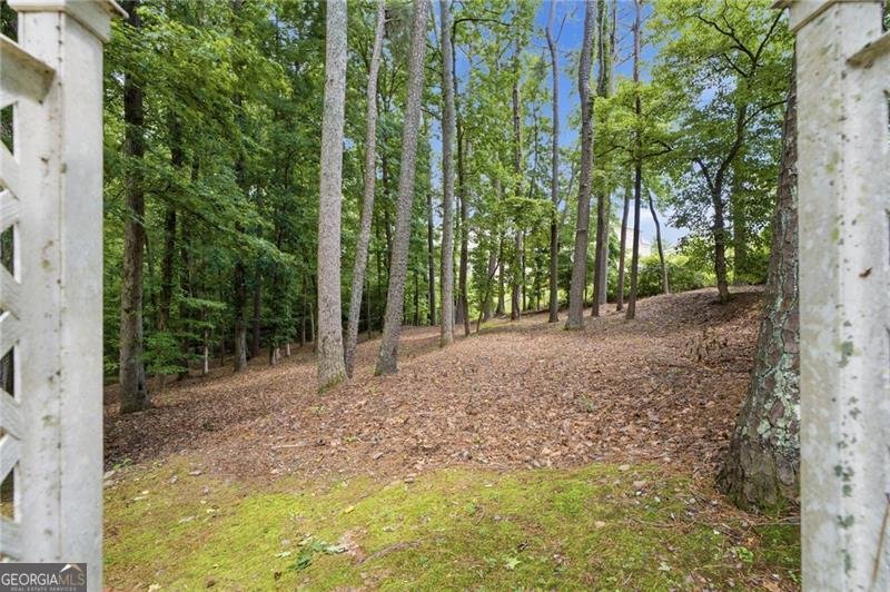 5855 Wills Lake Road Cumming - Photo 42