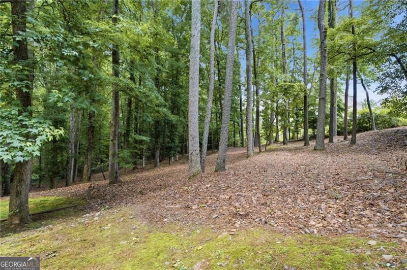 5855 Wills Lake Road Cumming - Photo 43